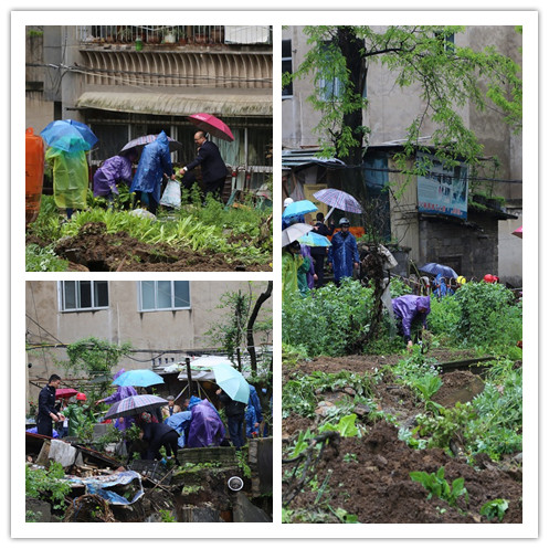 施工现场,执行干警帮助群众将围墙范围内的蔬菜、树苗等拔起,并交还群众.jpg 施工现场,执行干警帮助群众将围墙范围内的蔬菜、树苗等拔起,并交还群众.jpg